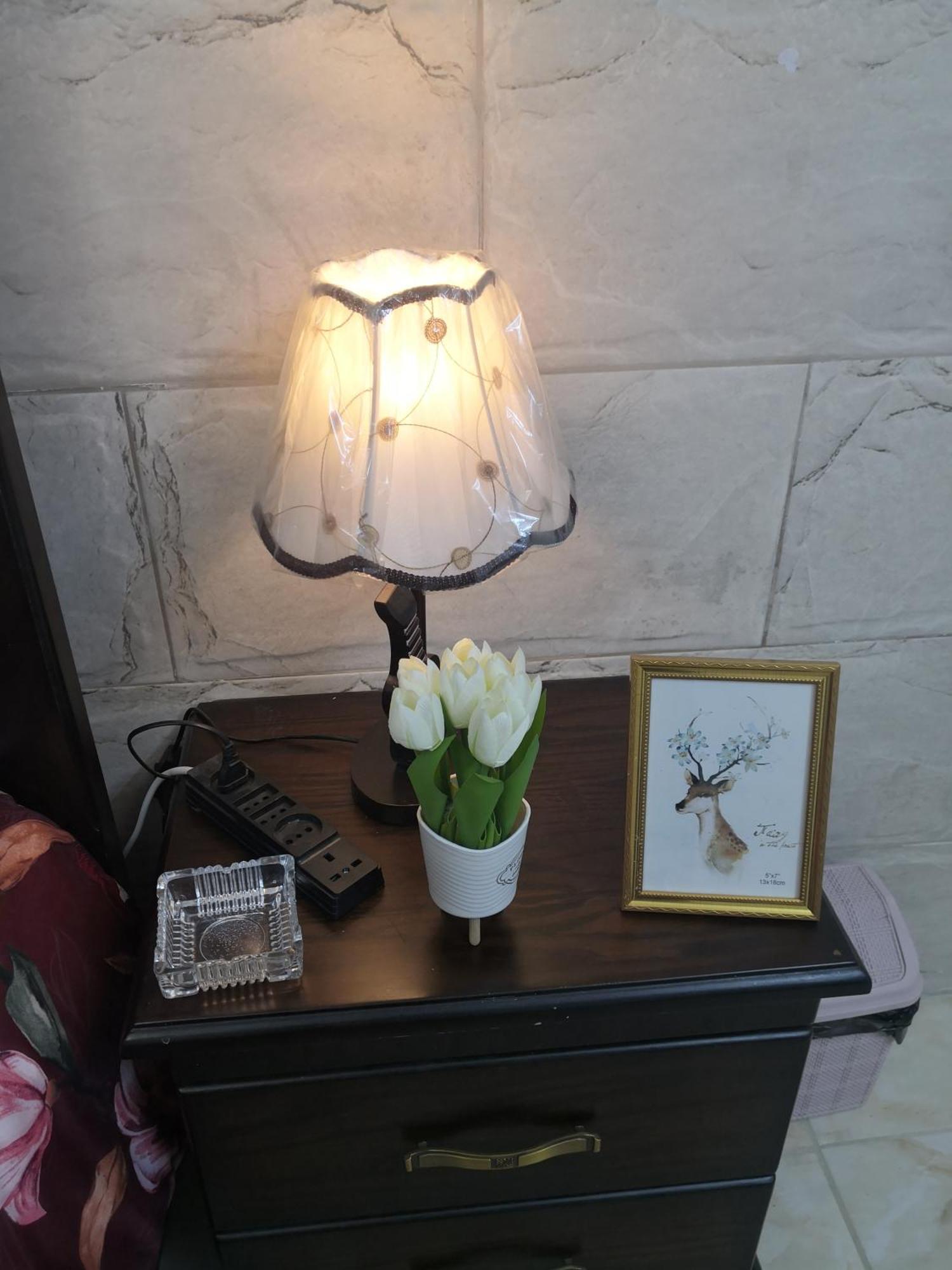 White Tulips Apartment الزنبقة البيضاء Джераш Екстер'єр фото
